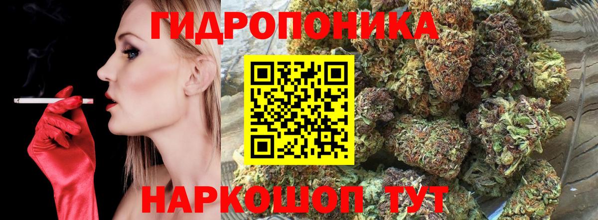 Канабис тримм  Канабис план  Вход с VPN  Клинцы  МАРИХУАНА White Widow 